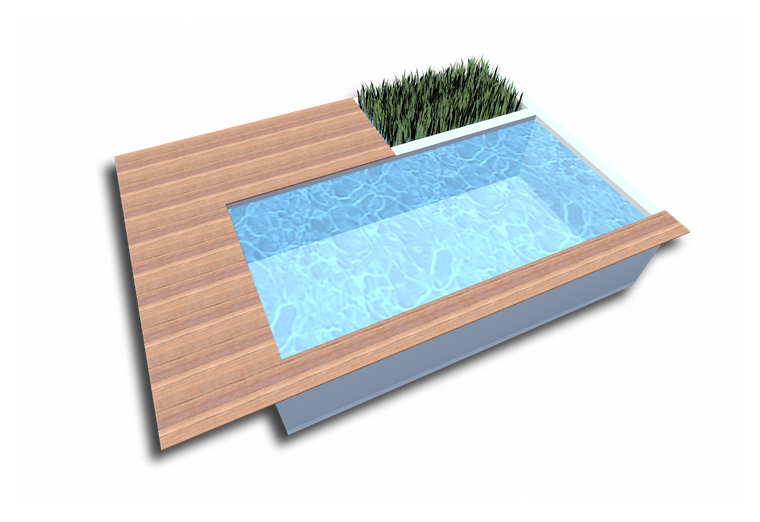 Naturpoolform Barcelona mit umlaufender Terrasse