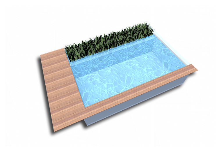 Naturpoolform Broadway I mit Pflanzenband