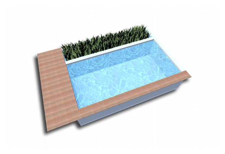 Naturpoolform Broadway II mit kompakter Pflanzenzone