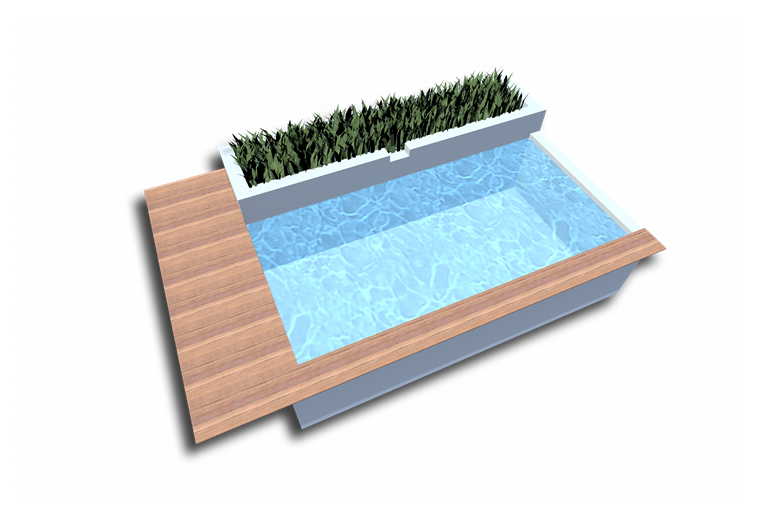 Naturpoolform Broadway III mit erhoehter Pflanzenzone