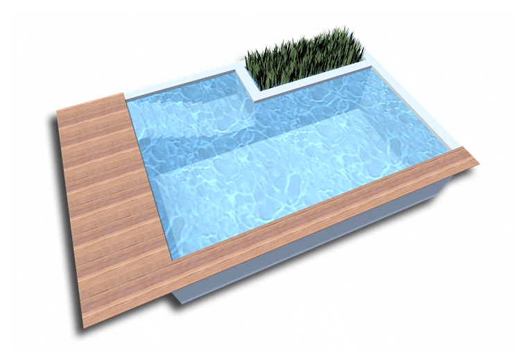 Geradlinige Naturpoolform Monaco
