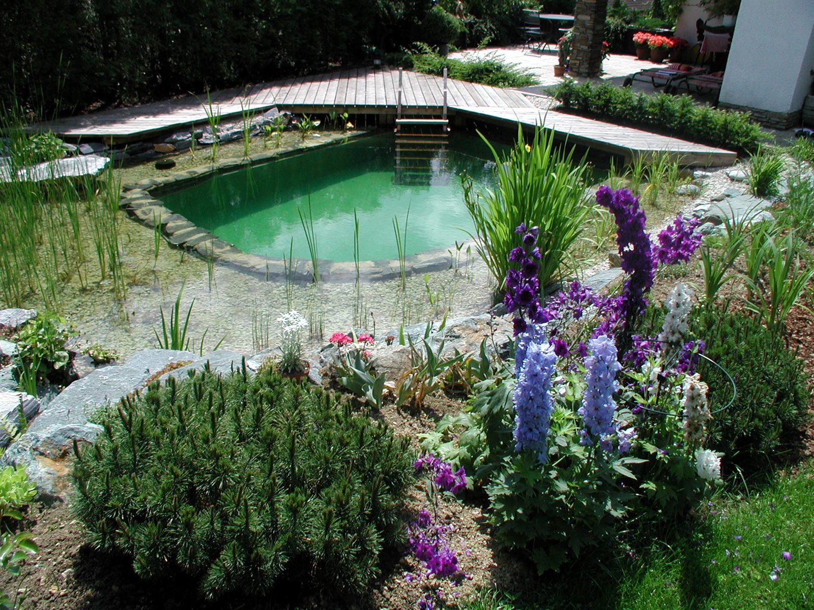 Kleiner Schwimmteich mit optimal genutzter Flaeche