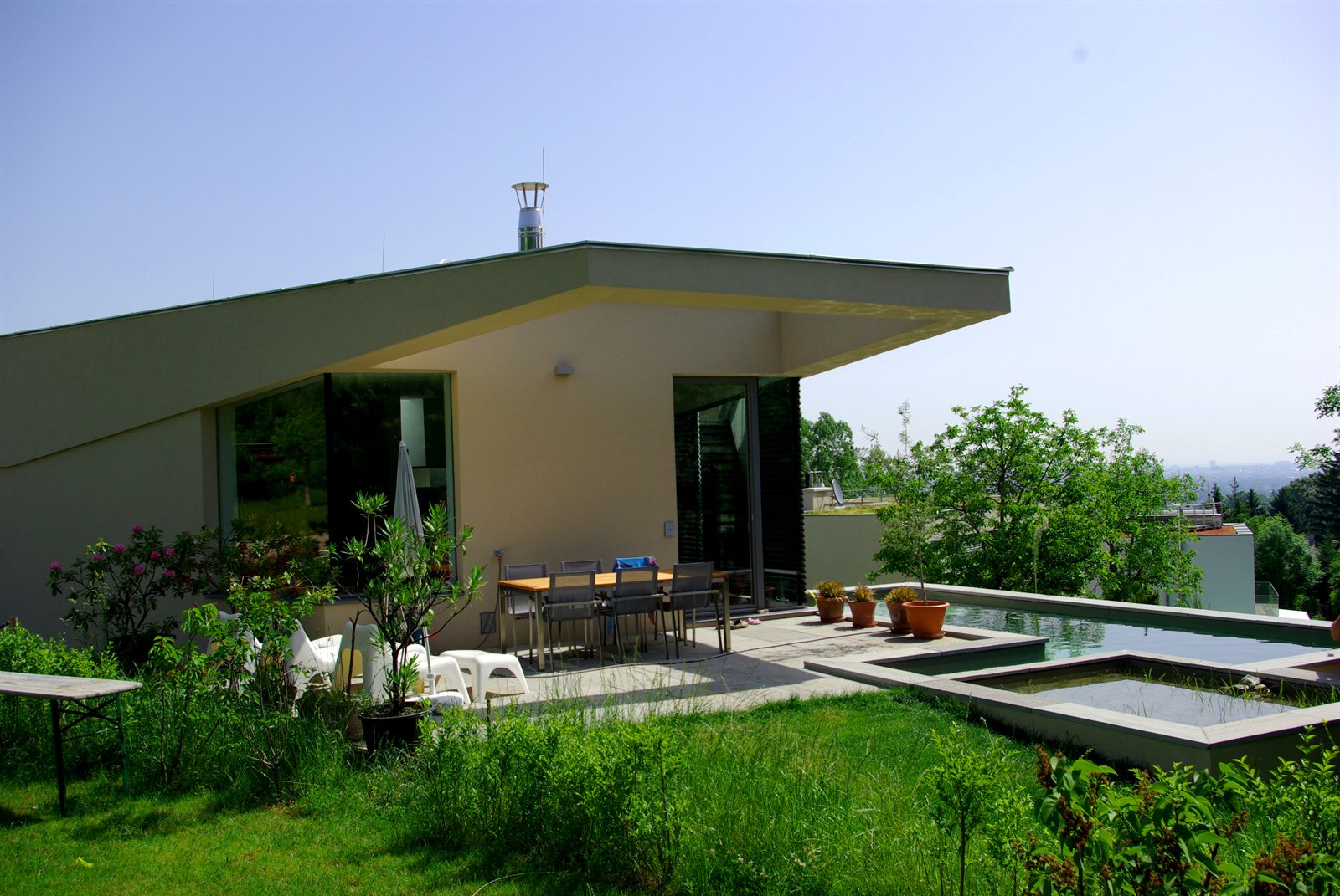Moderner Naturpool mit klaren Linien