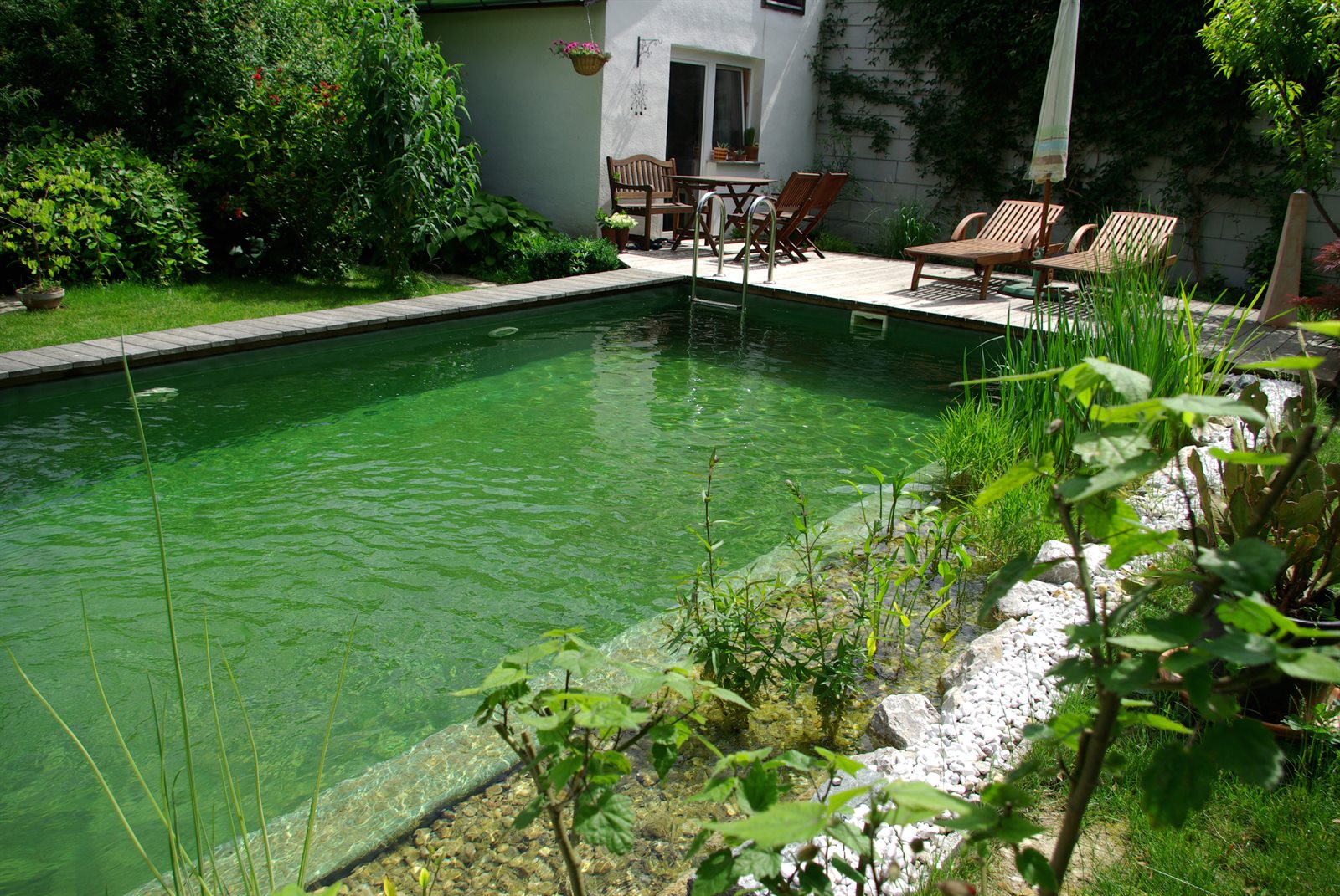Pool ohne Chlor