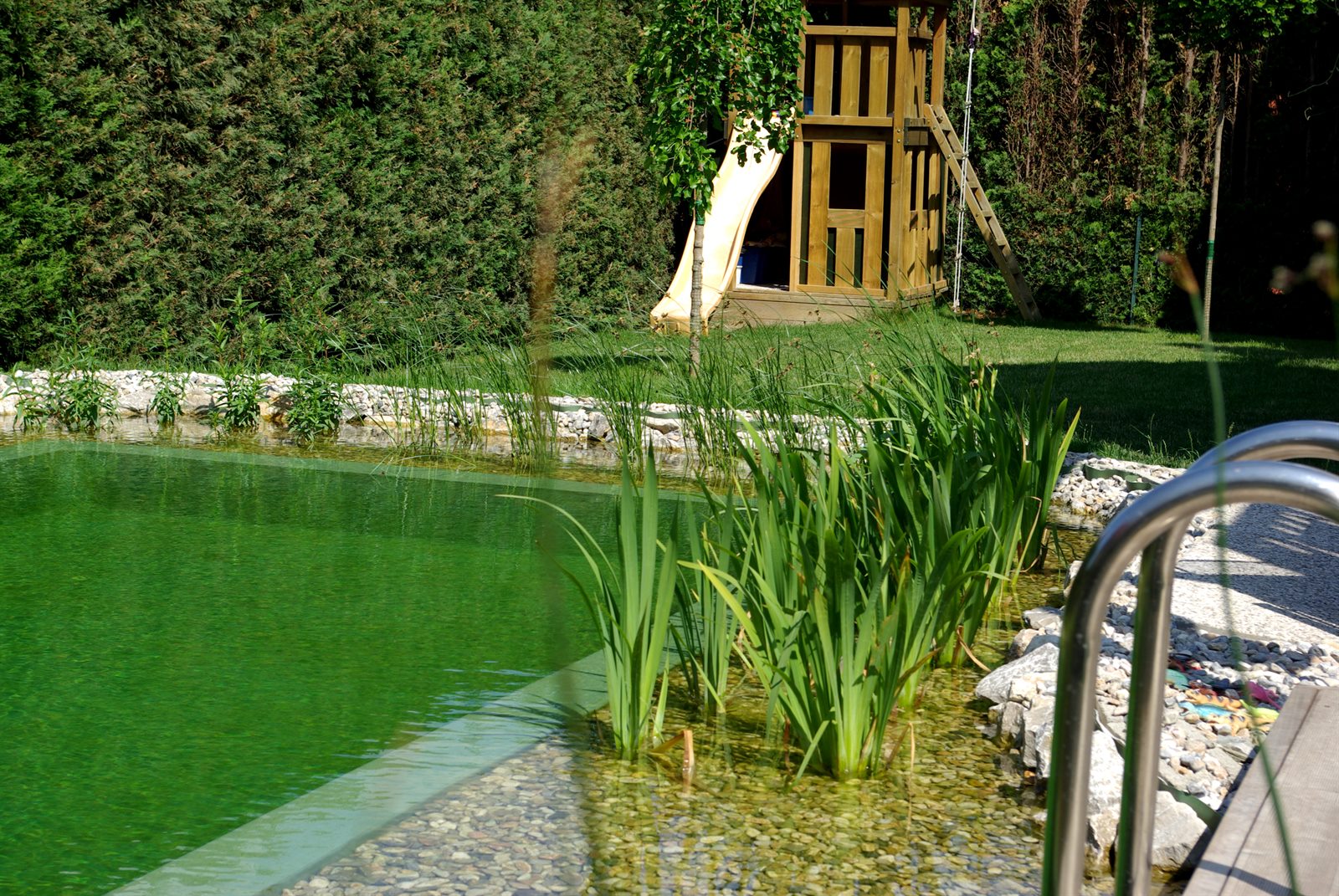 Filterbereich und Pflanzenzone eines Schwimmteichs
