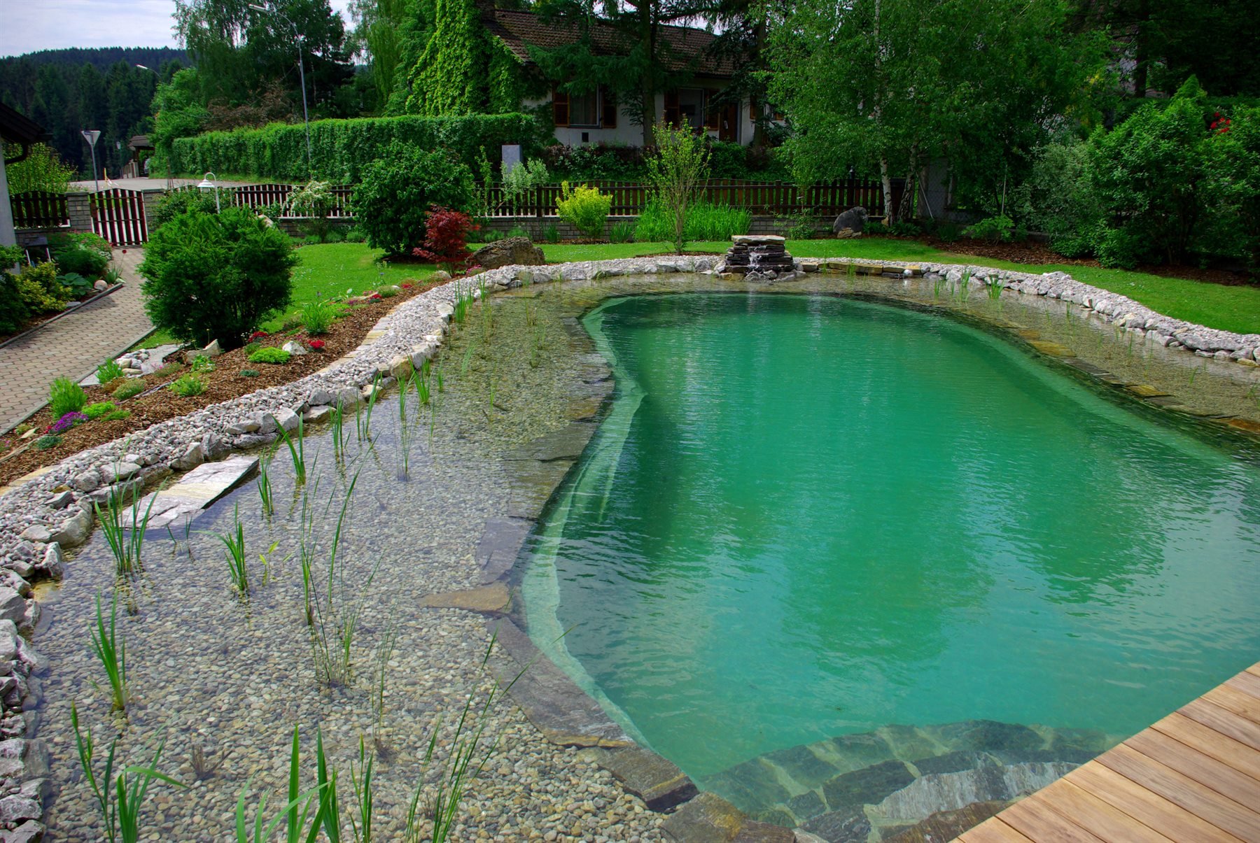 Schwimmteich mit Pflanzzone im Garten